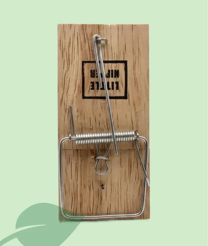 Trampa Ratolins Little Nipper Pest-Stop | Fusta Clàssica