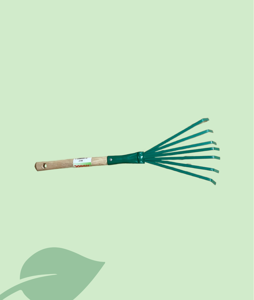 Escobilla jardín Maiol Spring S2 5017