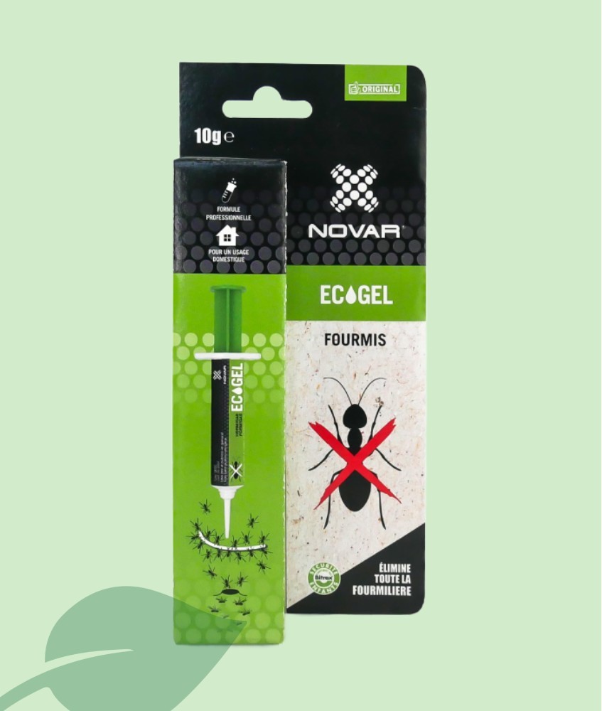 Ecogel Hormigas Jeringa 10 g | Gel Cebo Insecticida Eficaz
