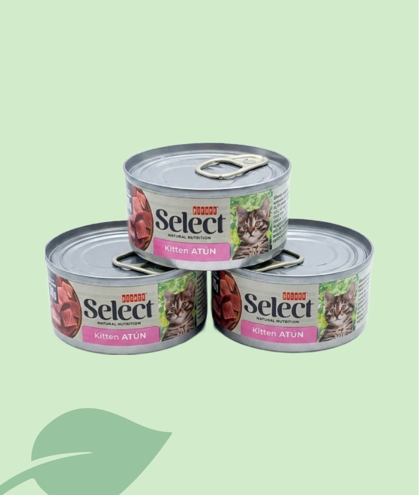 Picart Select Cat Wet Kitten Atún 70 g | Comida Gatitos