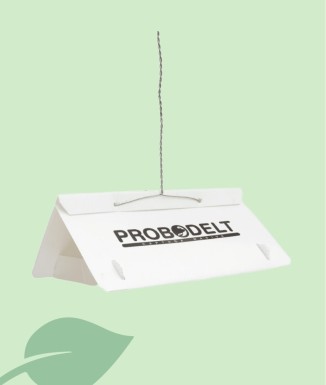 Probodelt Trampa Delta | Monitoreo de Plagas Agrícolas