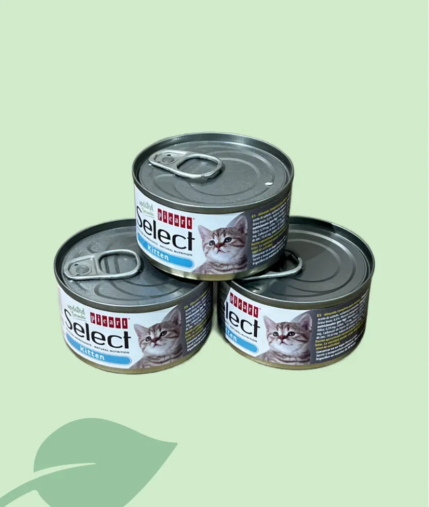 PICART Cat Kitten 95 g – comida húmeda gatitos sin cereales