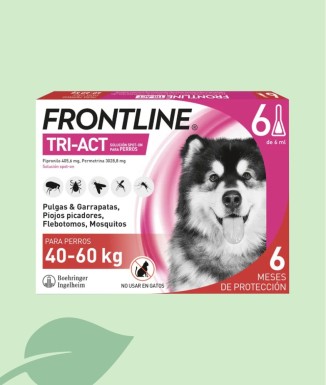 Frontline Tri-Act Gossos 40-60 kg (6 Pipetes) | Envàs Semestral