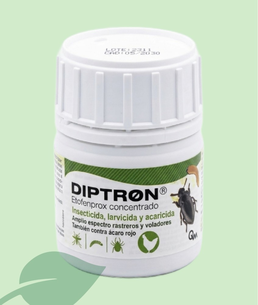 Diptron Insecticida Concentrat 100 ml | Gran Persistència