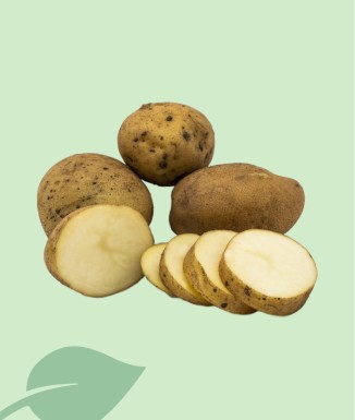 Patatas Kennebec a Granel | Compra al Peso de Alta Calidad