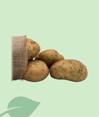 Patates Kennebec a Granel | Compra al Pes d'Alta Qualitat