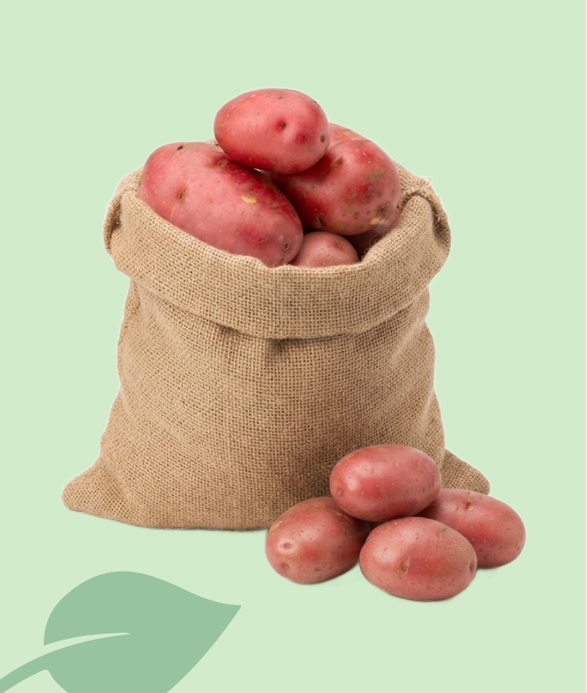 Patatas Red Pontiac Seleccionadas | Calidad Culinaria Piel Roja