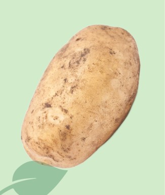 Patates Agria Seleccionades | La Millor Patata per a Fregir