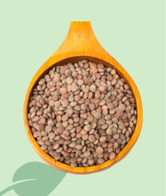 Lenteja Pardina Seca 100g / 1kg | Calidad Tradicional