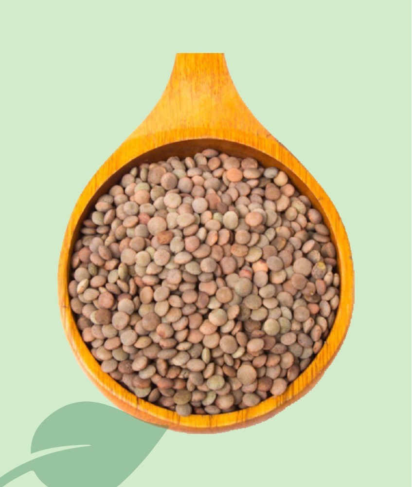 Llentia Pardina Seca 100g / 1kg | Qualitat Tradicional Més Fina