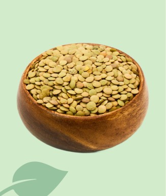 Llentia de Salamanca Seca 100g / 1kg | Qualitat Castellana Gran