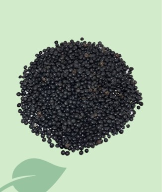 Llentia Caviar Seca 100g / 1kg | Qualitat Gourmet Beluga