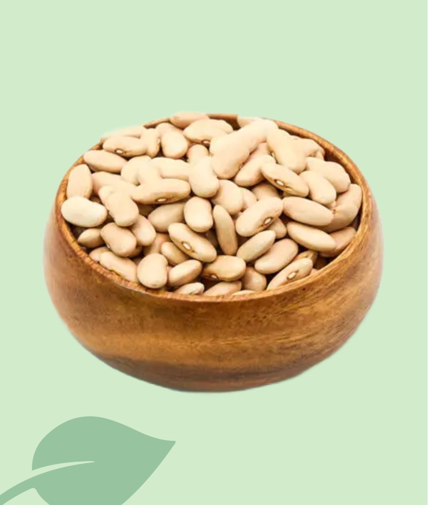 Mongeta Canella Seca 100g / 1kg | Textura Cremosa i Fina