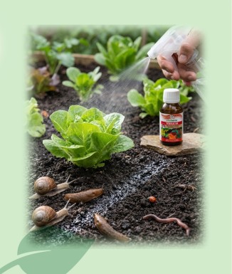 Terralim Vitaterra 60 ml | Repelente Caracoles Ecológico