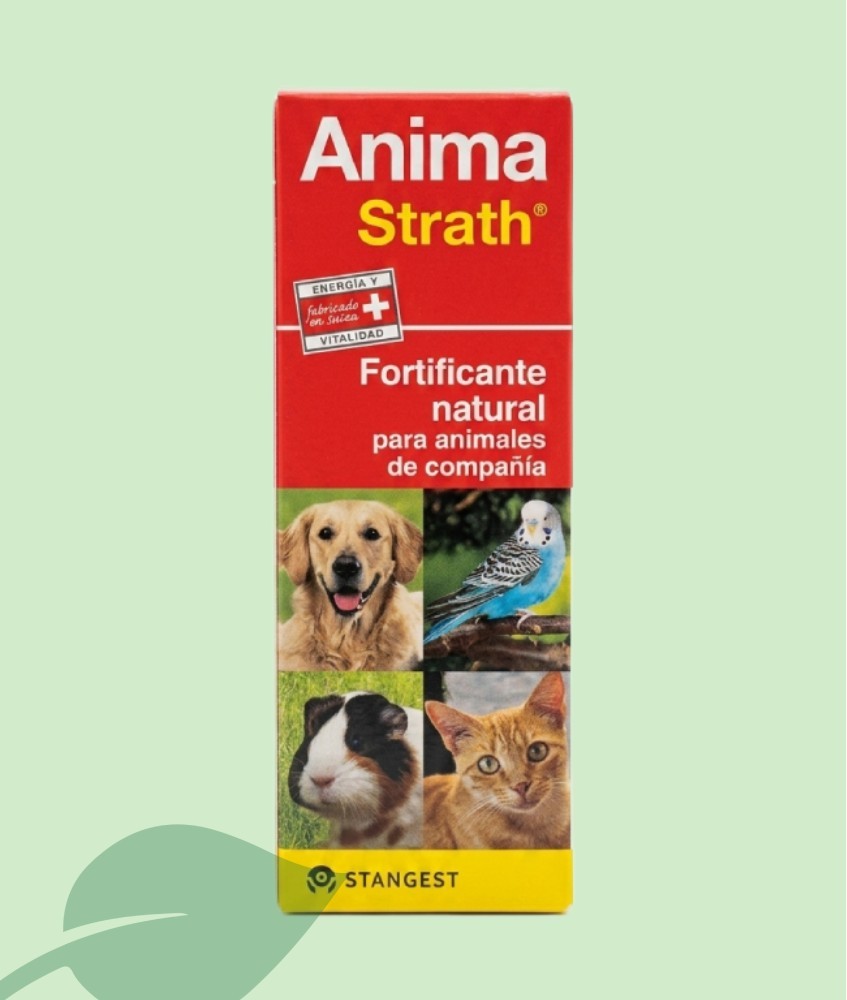 Anima Strath Fortificant Natural 100 ml | Vitalitat Mascotes