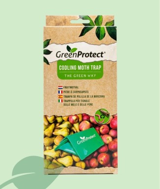 Trampa per a la Pols de la Poma Green Protect | Hort Ecològic