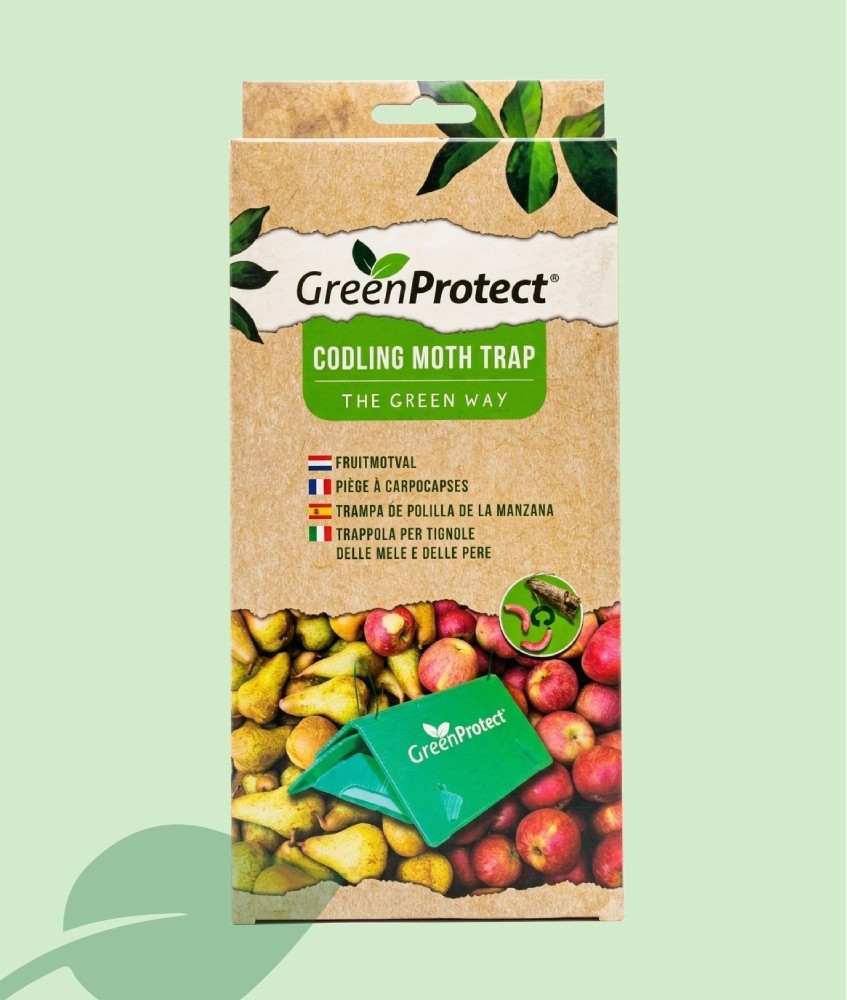 Trampa per a la Pols de la Poma Green Protect | Hort Ecològic