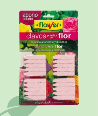 Flower Claus d'Adob Plantes amb Flor 20 u. | Floració Duradora