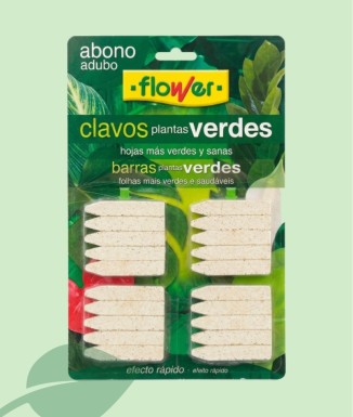 Flower Claus d'Adob Plantes Verdes 20 u. | Verdor Intens