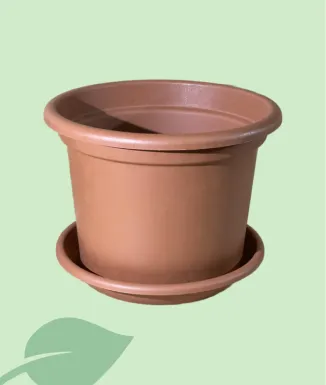 Test terracota amb plat – Test clàssic per a plantes