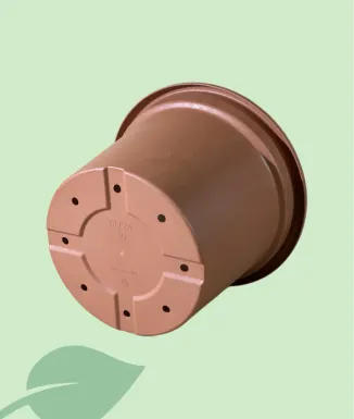 Maceta terracota con plato – Maceta clásica para plantas