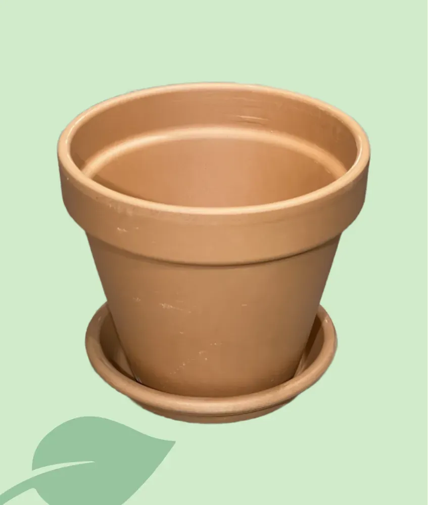 Test terracota clàssic amb plat – test per a plantes