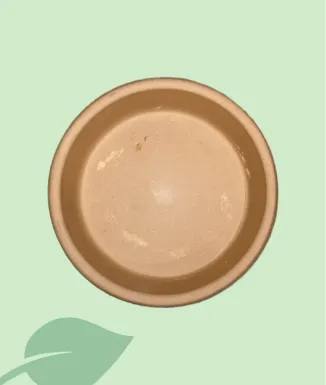 Test terracota clàssic amb plat – test per a plantes