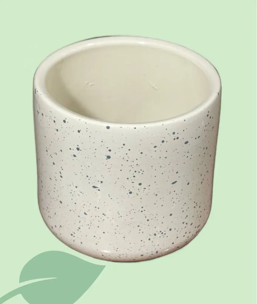 Macetero Laura Mini 7,5 cm – maceta pequeña para suculentas