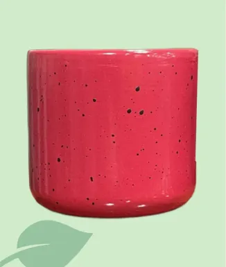 Test Laura Mini 7,5 cm – test petit per a suculentes