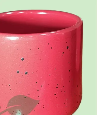 Test Laura Mini 7,5 cm – test petit per a suculentes