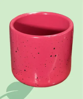 Macetero Laura Mini 7,5 cm – maceta pequeña para suculentas