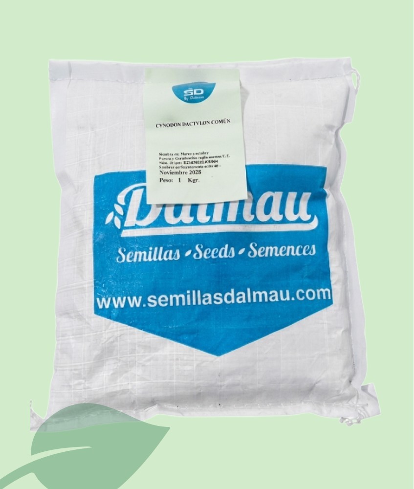 Llavors Grama Fina Cynodon Dactylon Dalmau 1 kg | Gespa Resistent
