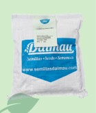 Semillas Grama Fina Cynodon Dactylon Dalmau 1 kg | Césped Resistente