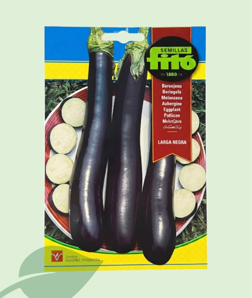Llavors Albergínia Llarga Negra Fitó 5g | 1000-1250 Llavors