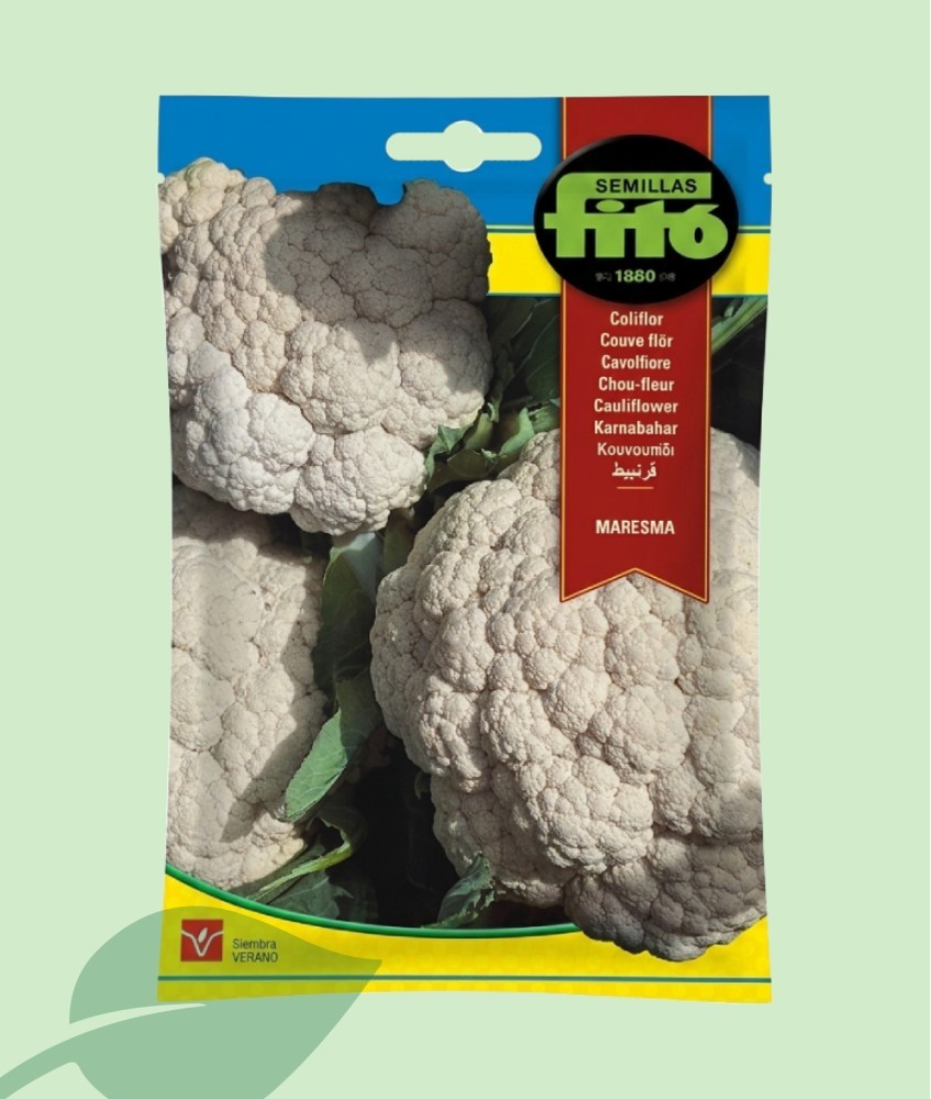 Semillas Coliflor Maresma Fitó 4g | 1.000 Semillas