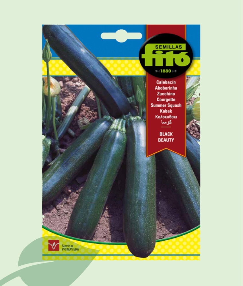 Semillas Calabacín Black Beauty Fitó 10g | 80-100 Semillas