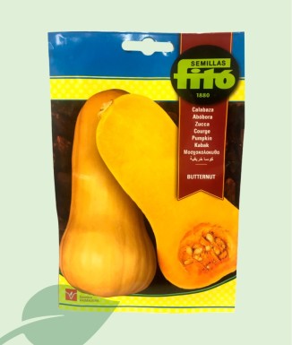 Llavors Carbassa Cacauet Butternut Fitó 10g | 30-100 Llavors
