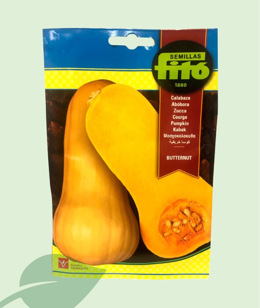 Semillas Calabaza Cacahuete Butternut Fitó 10g | 30-100 Semillas