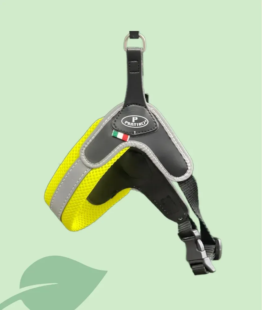 Arnès Pratiko – confort i passejades urbanes