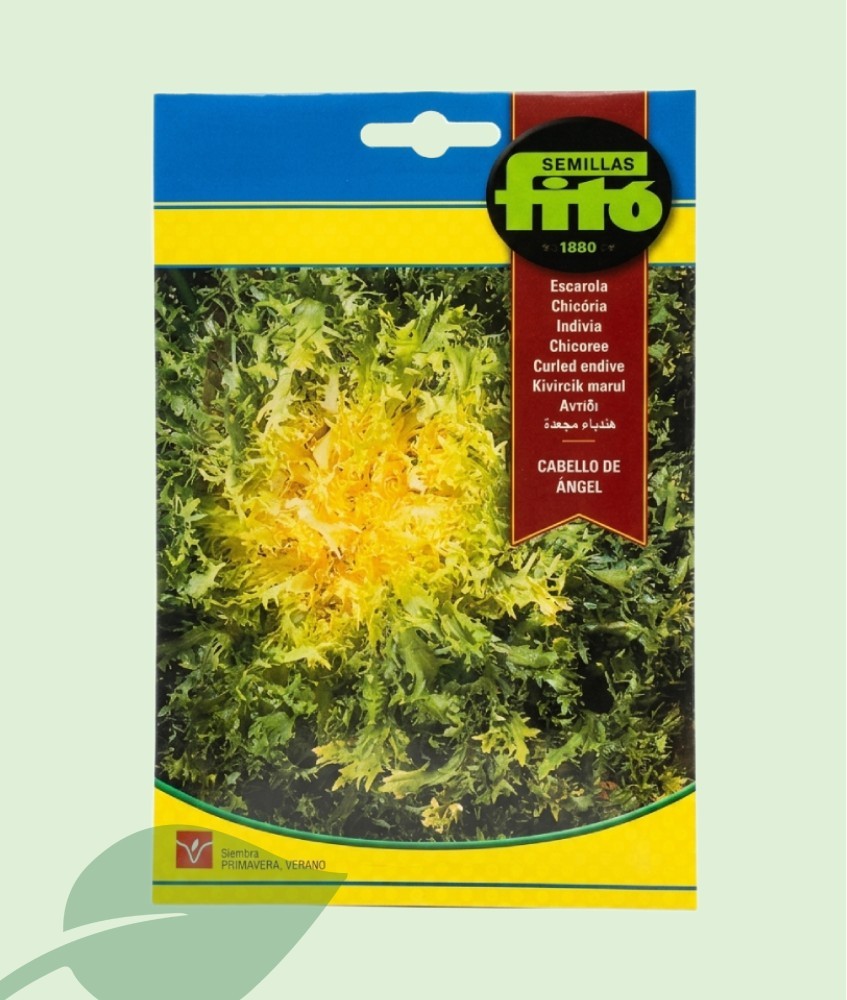 Semillas Escarola Cabello de Ángel Fitó 8g | 4000 Semillas