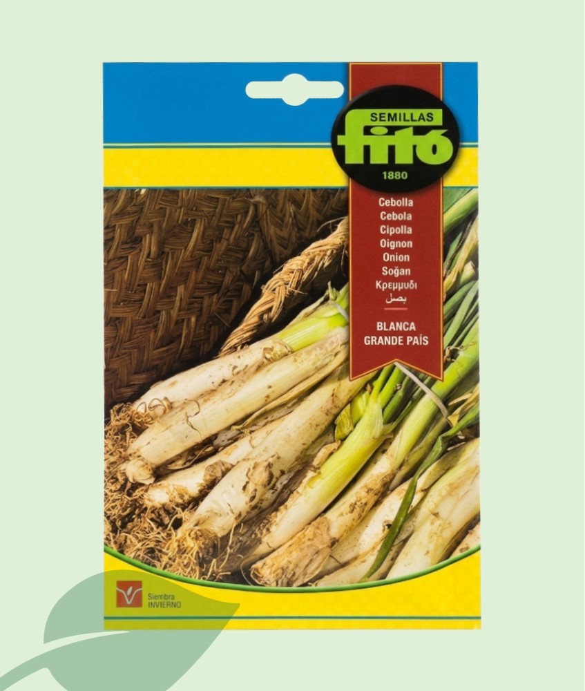 Semillas Cebolla Calçots Fitó 7g | Cebolla Madre Calçotada