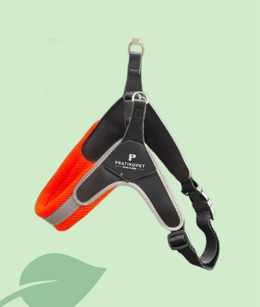 Arnés Pratiko – confort y paseos urbanos