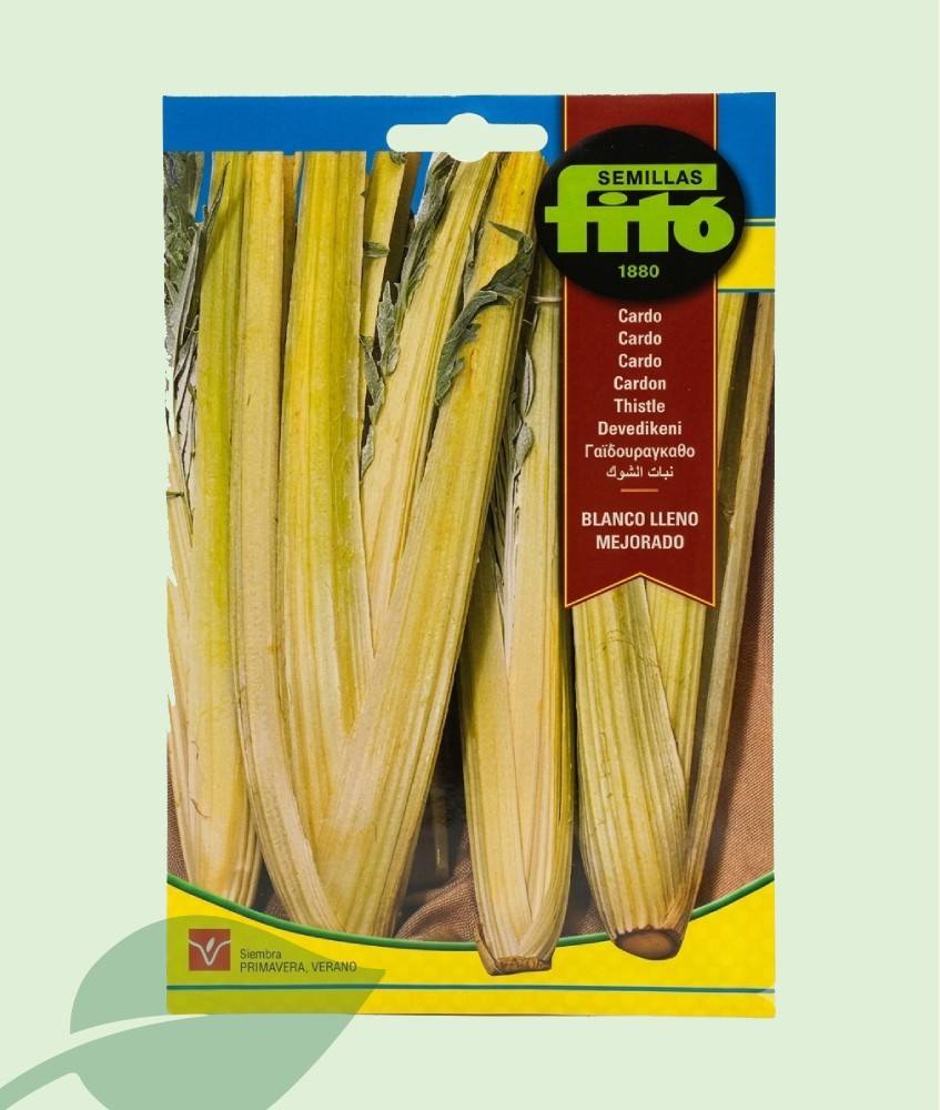 Semillas Cardo Blanco Fitó 15g | Cardo Tradicional de Pencas
