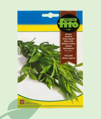 Semillas Collejas Fitó 1g | Silene vulgaris Verdura Silvestre