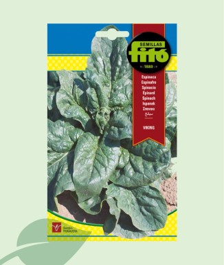 Semillas Espinaca Viking Fitó 20g | Hojas Grandes y Carnosas