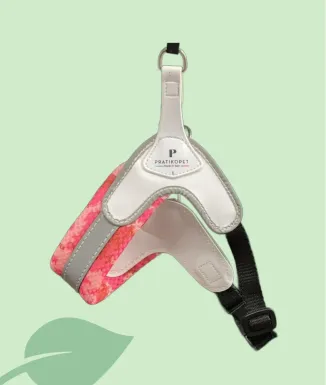 Arnès Pratiko – confort i passejades urbanes