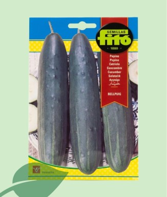 Semillas Pepino Bellpuig Fitó 10g | Pepino Tradicional