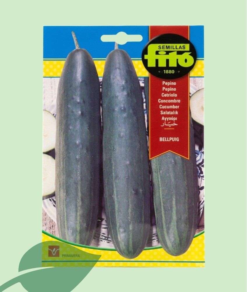 Semillas Pepino Bellpuig Fitó 10g | Pepino Tradicional