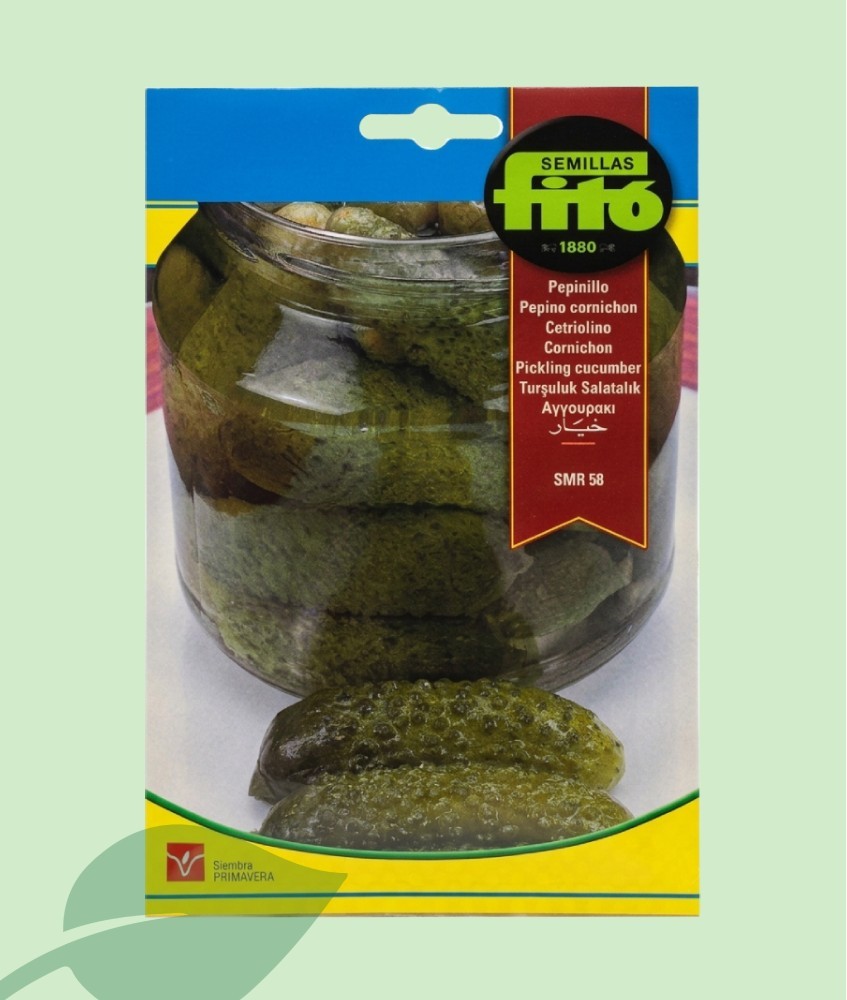 Llavors Cogombret SMR 58 Fitó 10g | Cogombret de Conserva