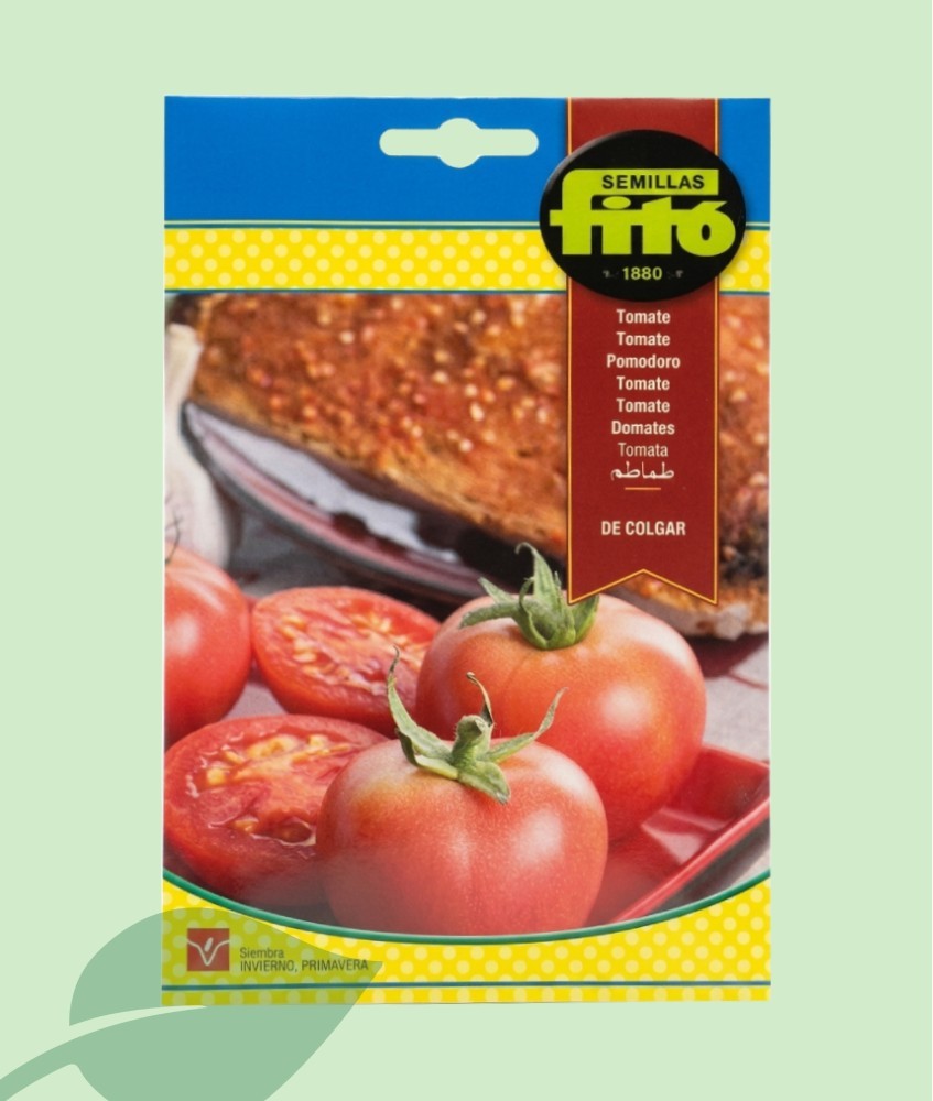 Semillas Tomate de Colgar Fitó | Tomacó para Untar en Pan
